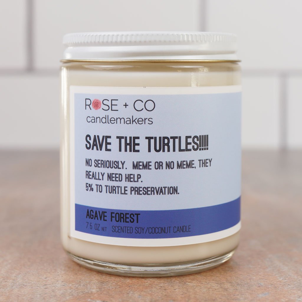 Save The Turtles!!!